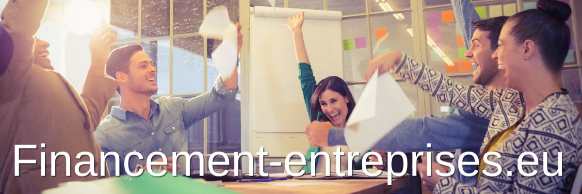 financement-entreprises.1000vies.fr